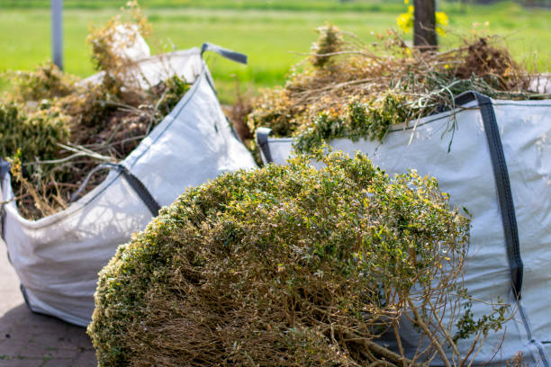 Best Furniture Removal Near Me  in Chetopa, KS