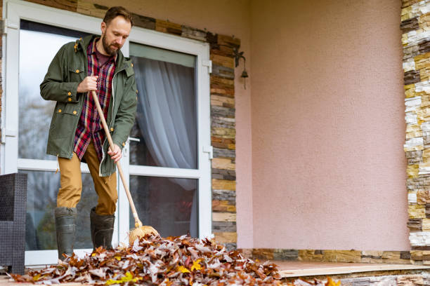 Best Electronics Removal Services  in Chetopa, KS